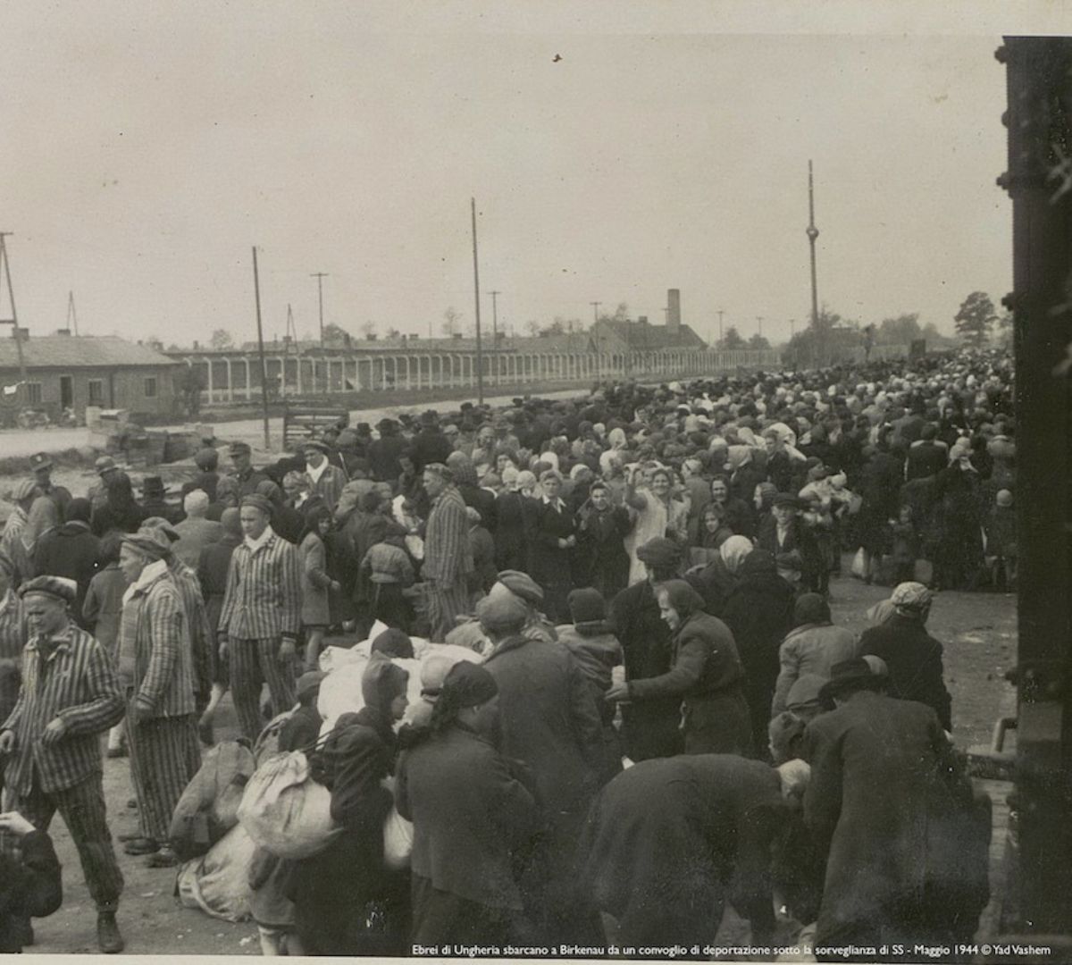 aushwitz-birkenau-campo-di-concentramento-storia-pro-forma-memoria-emilia-romagna